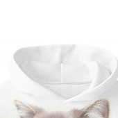 cheap Boy's 3D Animals-Boys 3D Animal Cat Hoodie Long Sleeve 3D Print Spring Fall Active Sports Fashion Kids 3-13 Years Outdoor Daily Indoor Regular Fit