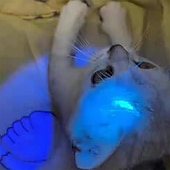 baratos Lanternas-Lâmpada de inspeção uv 365/395 mini lâmpada portátil led ultravioleta jade identificação inspeção de dinheiro inspeção de musgo de gato