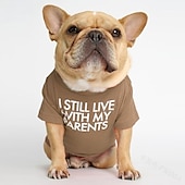 tanie Kamizelka chłodząca i koszula-Psy Koty T-shirt Moda Śłodkie Oddychający Miękka Zmywalny Wygodny Na zewnątrz Codzienne Ubranka dla psów for Bichon frise Szpic miniaturowy szczeniaków i młodych kotów Motyl Small
