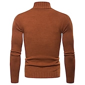 billige genser for menn-Herre Genser Pullover genser Turtleneck genser Riflet Strikke Strikket Helfarge Høy krage Grunnleggende Fritid Daglig Ferie Klær Vinter Høst Svart Militærgrønn M L XL