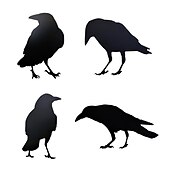 cheap Halloween Outdoor Decor-Halloween Acrylic Black Crow Scuplture Ornament Creative Photo Frame Raven Bird Statue Figurine Wall Display Decoration