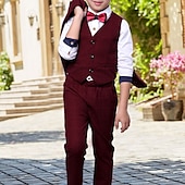 halpa Pojan juhlapuku-3 osainen Sormuspojan puku Poikien Lapset Puku Muodollinen puku Puku ja bleiseri Tankki &amp; housut Muodollinen Vuosipäivä Tyylikäs Lempeä Skottiruutukuvio Viini Sininen Harmaa Puuvilla