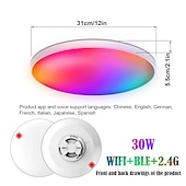 abordables Plafonniers à intensité variable-plafonnier intelligent 12 pouces 30w rvb changement de couleur bluetooth contrôle de l&#039;application wifi 2700k-6500k dimmable synchronisation avec la musique compatible avec alexa google home