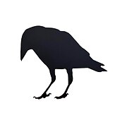 cheap Halloween Outdoor Decor-Halloween Acrylic Black Crow Scuplture Ornament Creative Photo Frame Raven Bird Statue Figurine Wall Display Decoration