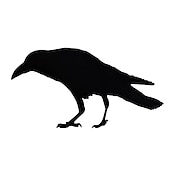 cheap Halloween Outdoor Decor-Halloween Acrylic Black Crow Scuplture Ornament Creative Photo Frame Raven Bird Statue Figurine Wall Display Decoration