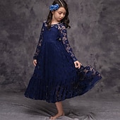 cheap Flower Girl&#039;s Dresses-Kids Girls&#039; Flower Girl Dress Dress Solid Colored Long Sleeve Wedding Party Daily Lace Mesh Embroidered Cute Princess Cotton Maxi A Line Dress Tulle Dress Fall Winter 3-12 Years White Beige