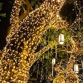 ieftine Lumini cu coarde solare-lumini cu led solare în aer liber 10/20/30/50/100m lumini șiruri de Crăciun rezistente la apă iluminare festivă lumini pentru copac în aer liber petrecere de nuntă pom de Crăciun grădină în aer liber