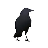 cheap Halloween Outdoor Decor-Halloween Acrylic Black Crow Scuplture Ornament Creative Photo Frame Raven Bird Statue Figurine Wall Display Decoration