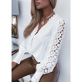 levne Základní dámské topy-Dámské Krajková košile Halenka Očko nahoře Bílá krajková košile Jednobarevné Elegantní Módní Základní Do V Denní Krajka Bílá Jaro Podzim Zima Podzim zima