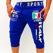cheap Sweat Shorts-Men&#039;s Athletic Pants Sweatpants Capri Pants Drawstring Print Letter Sports Outdoor Weekend Streetwear Stylish Black White Micro-elastic