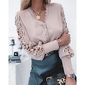 levne Základní dámské topy-Dámské Krajková košile Halenka Očko nahoře Bílá krajková košile Jednobarevné Elegantní Módní Základní Do V Denní Krajka Bílá Jaro Podzim Zima Podzim zima