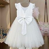 cheap Flower Girl&#039;s Dresses-Flower Girl Dress Girls&#039; Princess Dress First Communion Dress Party Dress Formal Performance Wedding Princess Beautiful Ruched Mesh Solid Color Sleeveless V Neck White Pink 2-9 Years