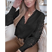 levne Základní dámské topy-Dámské Krajková košile Halenka Očko nahoře Bílá krajková košile Jednobarevné Elegantní Módní Základní Do V Denní Krajka Bílá Jaro Podzim Zima Podzim zima