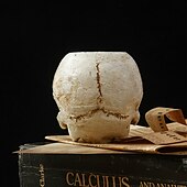 お買い得  ハロウィンの吊るし飾りとテーブルトップ装飾-ハロウィーンの頭蓋骨樹脂キャンドルホルダー - スケルトンキャンドルスティックハロウィーンデコレーション（キャンドルは含まれません）