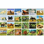 abordables Juguetes novedosos-Linterna de proyección para niños, proyector de luz con bonitos dibujos de dinosaurios, animales, espacio, luz de fotografía nocturna, juguetes divertidos para la hora de dormir y aprender, regalos