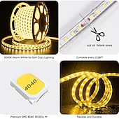 cheap Waterproof Strip Lights-LED Strip Light Plug in Outdoor Waterproof IP67 AC220V 4040 LED Strip Light Diode Tape Holiday Decorative Light LED String with 60led / m with EU Plug