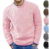 abordables suéter de los hombres-Hombre Pulóveres Suéter de punto Vestido Suéter Estriado Cable Tejer Recortado De Punto Cuello Barco Noche Fin de semana Ropa Otoño Invierno Negro Rosa M L XL