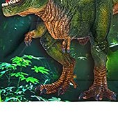billiga Pojkens 3D-djur-Pojkar 3D Djur Dinosaurie Huvtröja Långärmad 3D-tryck Höst Vinter Aktiv Sport Mode Polyester Barn 3-13 år Utomhus Dagligen Inomhus Normal