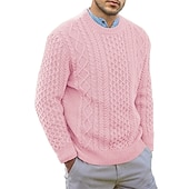 abordables suéter de los hombres-Hombre Pulóveres Suéter de punto Vestido Suéter Estriado Cable Tejer Recortado De Punto Cuello Barco Noche Fin de semana Ropa Otoño Invierno Negro Rosa M L XL