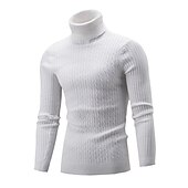 billige genser for menn-Herre Turtleneck genser Genser Pullover genser Herre Turtle Neck Jumper Riflet Kabel Strikke Avklipt Strikket Helfarge Rullekrage Hold Varm Moderne Moderne Arbeid Dagligdagstøy Klær Høst vinter Svart