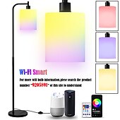 cheap Table&amp;Floor Lamp-LED Floor Lamp with Suspended Frosted Glass Lampshade and Unique Intelligent or Dual Color LED Bulb Suitable for High Pole Lamp in Bedroom Living Room and Office AC220V AC110V
