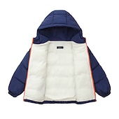 billiga Jackor och rockar för pojkar-Pojkar 3D Slät Kappa Långärmad Höst Vinter Aktiv Häftig Polyester Barn 4-13 år Dagligen Semester Normal