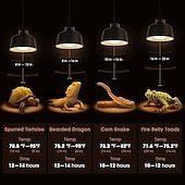 cheap Light Bulbs-UVA Reptile Heating Lamp - Full Spectrum 50W/100W Bulb Black Light for Tortoise, Lizard, &amp; Bearded Dragon Tank E27 Base 2pcs