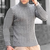 billige genser for menn-Herre Turtleneck genser Genser Pullover genser Herre Turtle Neck Jumper Riflet Kabel Strikke Avklipt Strikket Helfarge Rullekrage Hold Varm Moderne Moderne Arbeid Dagligdagstøy Klær Høst vinter Svart