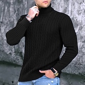 billige genser for menn-Herre Turtleneck genser Genser Pullover genser Herre Turtle Neck Jumper Riflet Kabel Strikke Avklipt Strikket Helfarge Rullekrage Hold Varm Moderne Moderne Arbeid Dagligdagstøy Klær Høst vinter Svart