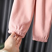 preiswerte Sets-Mädchen 3D Feste Farbe Buchstabe Set aus Kapuzenpullover und Jogginghose Kleidungsset Langarm Herbst Winter Täglich Brautkleider schlicht Baumwolle kinderkleidung 2-6 Jahre Urlaub Regular Fit