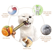 economico Giochi per gatti-3 pack silvervine bastoni gatto giocattoli per gatti indoor interattivo silvervine per gatti catnip giocattoli per gatti indoor masticare giocattolo per la pulizia dei denti del gatto gattino