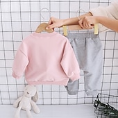 abordables Ensembles pour filles-Fille 3D Animal Bande dessinée Ensemble sweat à capuche et pantalon de survêtement Ensemble de Vêtements manche longue Automne Hiver Mode Décontractées Enfants 2-6 ans Vacances Standard