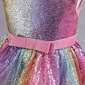 halpa Juhlamekot-Lapset Vähän Tyttöjen Mekko Paljetti väri Tyllimekko Juhla Syntymäpäivä Tilkkutäkki Rusetti Moniväri Purppura Punastuvan vaaleanpunainen Midi Hihaton Prinsessa Makea Mekot Kevät Kesä Ohut 4-12 vuotta