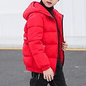 billiga Jackor och rockar för pojkar-Pojkar 3D Slät Kappa Långärmad Höst Vinter Aktiv Häftig Polyester Barn 4-13 år Dagligen Semester Normal