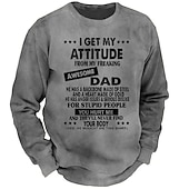 cheap Men&#039;s 3D Sweatshirts-Men&#039;s Letter Graphic Prints Sweatshirt Pullover Lightweight Hoodie Long Sleeve Sweatshirt Crew Neck Designer Basic Casual 3D Print Sports &amp; Outdoor Casual Daily Print Spring &amp;  Fall