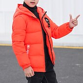 billiga Jackor och rockar för pojkar-Pojkar 3D Slät Kappa Långärmad Höst Vinter Aktiv Häftig Polyester Barn 4-13 år Dagligen Semester Normal