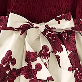 preiswerte Casual Kleider-Mädchen Kleid Blumen Langarm Formal Party Aktiv Modisch Polyester A Linie Kleid Herbst Winter 5-12 Jahre Rote