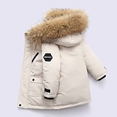 voordelige Jongens dons- en pufferjack-Kinderen Jongens Dons bovenkleding Effen Kleur Lange mouw jas Buiten leuke Style Aanbiddelijk Groen Zwart Rood Winter Herfst 7-13 jaar