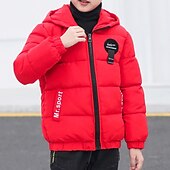 billiga Jackor och rockar för pojkar-Pojkar 3D Slät Kappa Långärmad Höst Vinter Aktiv Häftig Polyester Barn 4-13 år Dagligen Semester Normal