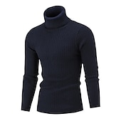 billige genser for menn-Herre Turtleneck genser Genser Pullover genser Herre Turtle Neck Jumper Riflet Kabel Strikke Avklipt Strikket Helfarge Rullekrage Hold Varm Moderne Moderne Arbeid Dagligdagstøy Klær Høst vinter Svart