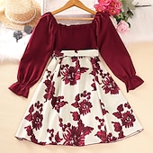 preiswerte Casual Kleider-Mädchen Kleid Blumen Langarm Formal Party Aktiv Modisch Polyester A Linie Kleid Herbst Winter 5-12 Jahre Rote