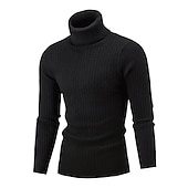 billige genser for menn-Herre Turtleneck genser Genser Pullover genser Herre Turtle Neck Jumper Riflet Kabel Strikke Avklipt Strikket Helfarge Rullekrage Hold Varm Moderne Moderne Arbeid Dagligdagstøy Klær Høst vinter Svart
