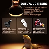 cheap Light Bulbs-UVA Reptile Heating Lamp - Full Spectrum 50W/100W Bulb Black Light for Tortoise, Lizard, &amp; Bearded Dragon Tank E27 Base 2pcs