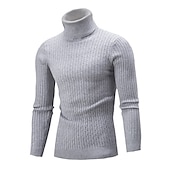 billige genser for menn-Herre Turtleneck genser Genser Pullover genser Herre Turtle Neck Jumper Riflet Kabel Strikke Avklipt Strikket Helfarge Rullekrage Hold Varm Moderne Moderne Arbeid Dagligdagstøy Klær Høst vinter Svart