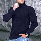 billige genser for menn-Herre Turtleneck genser Genser Pullover genser Herre Turtle Neck Jumper Riflet Kabel Strikke Avklipt Strikket Helfarge Rullekrage Hold Varm Moderne Moderne Arbeid Dagligdagstøy Klær Høst vinter Svart