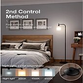 cheap Table&amp;Floor Lamp-LED Floor Lamp with Suspended Frosted Glass Lampshade and Unique Intelligent or Dual Color LED Bulb Suitable for High Pole Lamp in Bedroom Living Room and Office AC220V AC110V