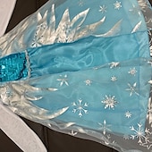 cheap Fairytale Theme Dresses-Kids Girls&#039; Frozen Elsa Costume Dress Graphic A Line Dress Performance Pegeant Blue Long Sleeve Princess Beautiful Dresses Fall Winter 2-8 Years