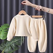preiswerte Sets-Mädchen 3D Feste Farbe Buchstabe Set aus Kapuzenpullover und Jogginghose Kleidungsset Langarm Herbst Winter Täglich Brautkleider schlicht Baumwolle kinderkleidung 2-6 Jahre Urlaub Regular Fit