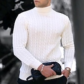 billige genser for menn-Herre Turtleneck genser Genser Pullover genser Herre Turtle Neck Jumper Riflet Kabel Strikke Avklipt Strikket Helfarge Rullekrage Hold Varm Moderne Moderne Arbeid Dagligdagstøy Klær Høst vinter Svart