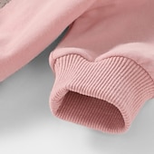 abordables Ensembles pour filles-Fille 3D Animal Bande dessinée Ensemble sweat à capuche et pantalon de survêtement Ensemble de Vêtements manche longue Automne Hiver Mode Décontractées Enfants 2-6 ans Vacances Standard